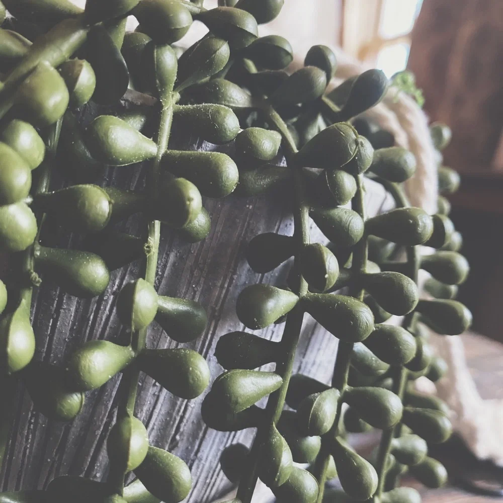 Handcrafted Macramé Succulent Hanger | Rustic Clay Pot & Faux Pearls